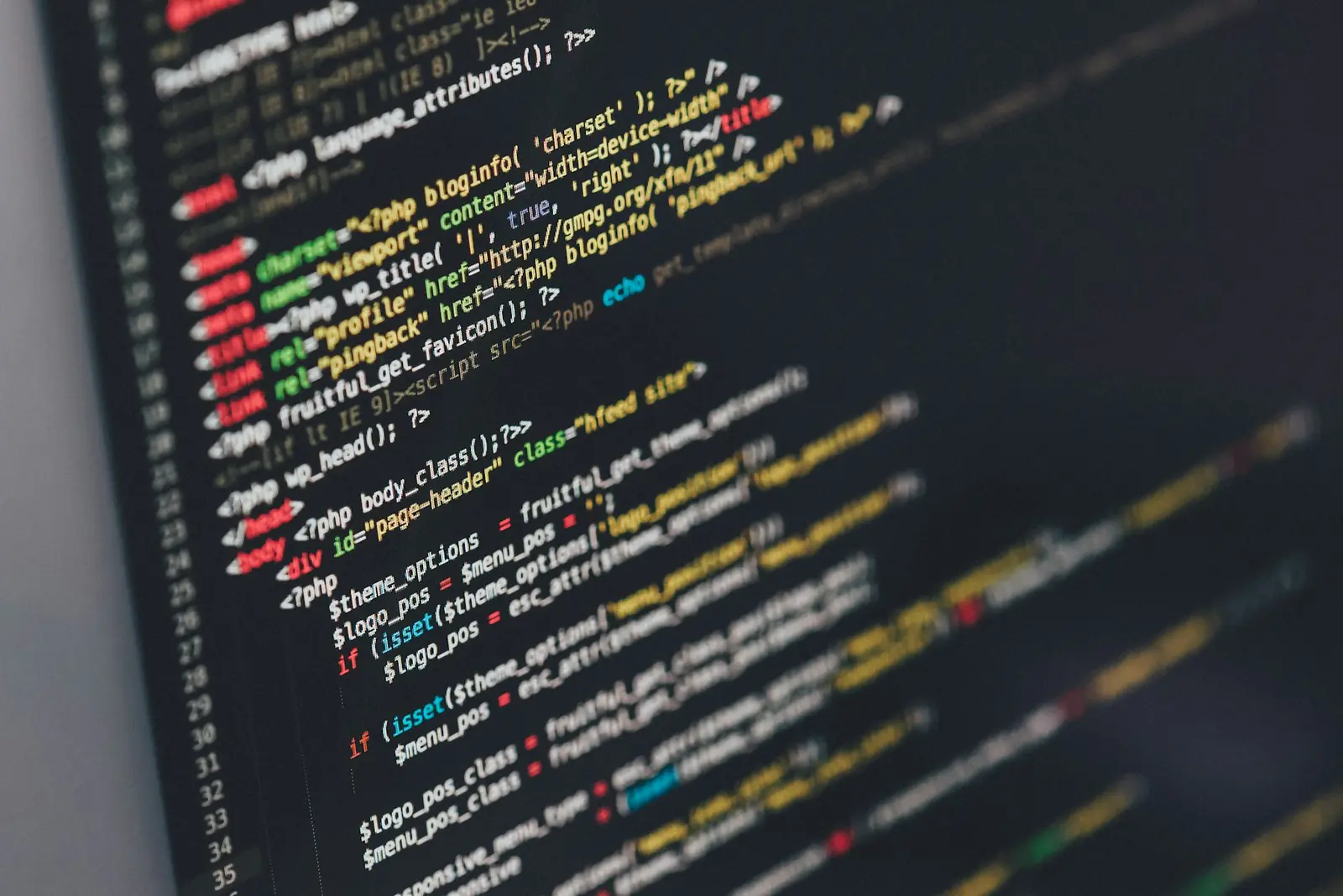 Application source code running on a developer screen